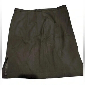 Express A Line Pencil Skirt